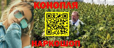 не бодяженный Гатчина
