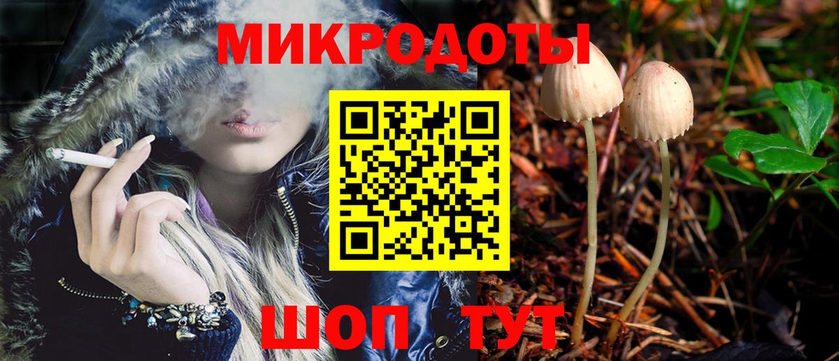 что такое   Галлюциногенные грибы Psilocybe  Вход с VPN  Нефтекумск  Псилоцибиновые грибы Magic Shrooms 